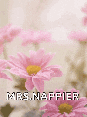 a mother 's day card with pink flowers and the name mrs. napier