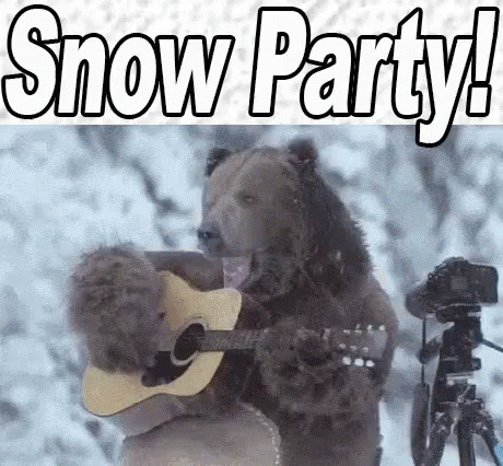 Snow Party Funny Animals GIF