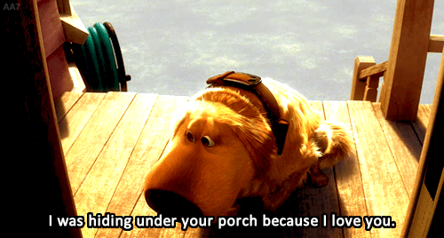 How Could You Get Mad? GIF - Up Movie Disney Dug GIFs