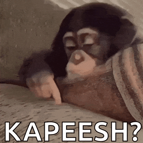 a chimpanzee is laying on a couch and pointing at something with the words kapeesh ? written below it .