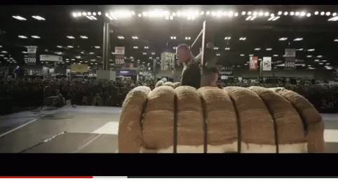 Carrying Groceries GIF - Carrying Groceries In GIFs