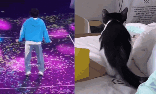 a man in a blue hoodie is dancing on a stage next to a cat