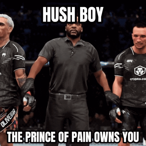 hush boy the prince of pain owns you written on a video game screen
