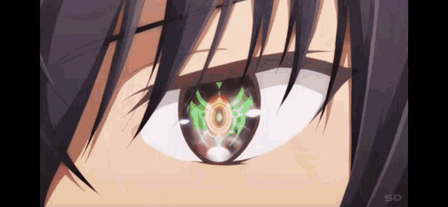a close up of a person 's eye with a green circle in it .