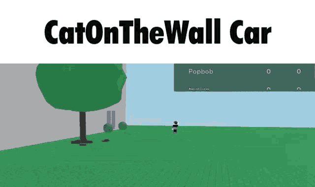 a video game called cat on the wall car