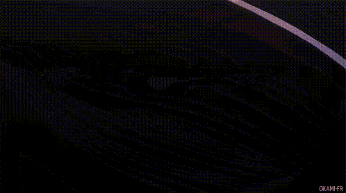 a computer generated image of a person 's eye with the words okami-fr written below it