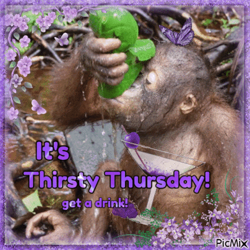 a picture of a monkey drinking from a martini glass that says it 's thirsty thursday