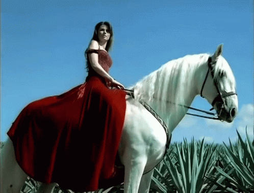 Riding A Horse Shania Twain GIF - Riding A Horse Shania Twain Dont GIFs