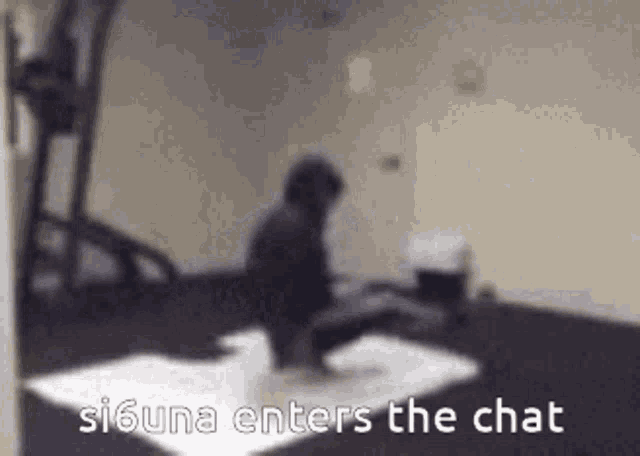a blurred image of a person sitting on the floor with the words siguna enters the chat written below them .