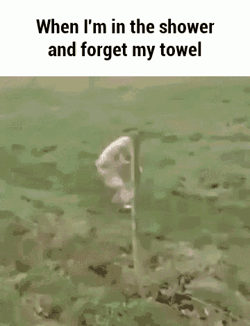 Towel Sneaking GIF - Towel Sneaking GIFs