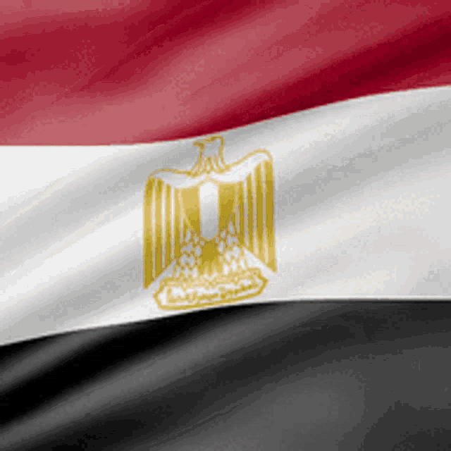 Egypt GIF - Egypt GIFs