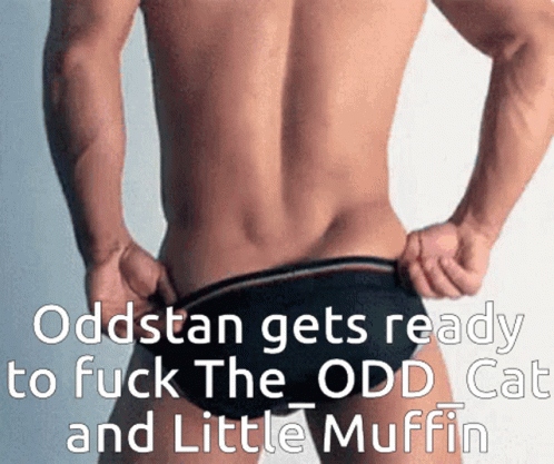 Oddstan Gets Ready GIF - Oddstan Gets Ready The Odd Cat GIFs