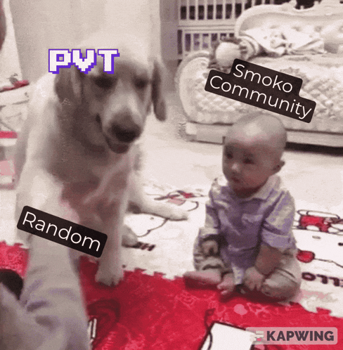 a dog standing next to a baby with the words pvt smoko community random and random on it