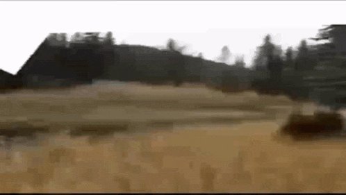 a blurry picture of a field with trees in the background and a house in the background .