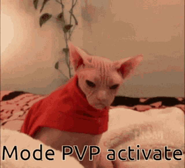 Pvp Activate GIF - Pvp Activate GIFs