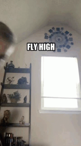 Fly High GIF