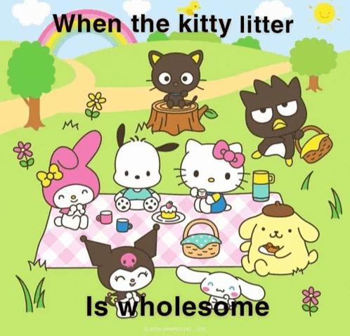 a cartoon of hello kitty and friends sitting on a picnic blanket with the caption when the kitty litter is wholesome