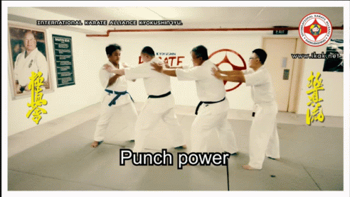 Power Punch Ikak GIF - Power Punch Ikak Kyokushinryu GIFs