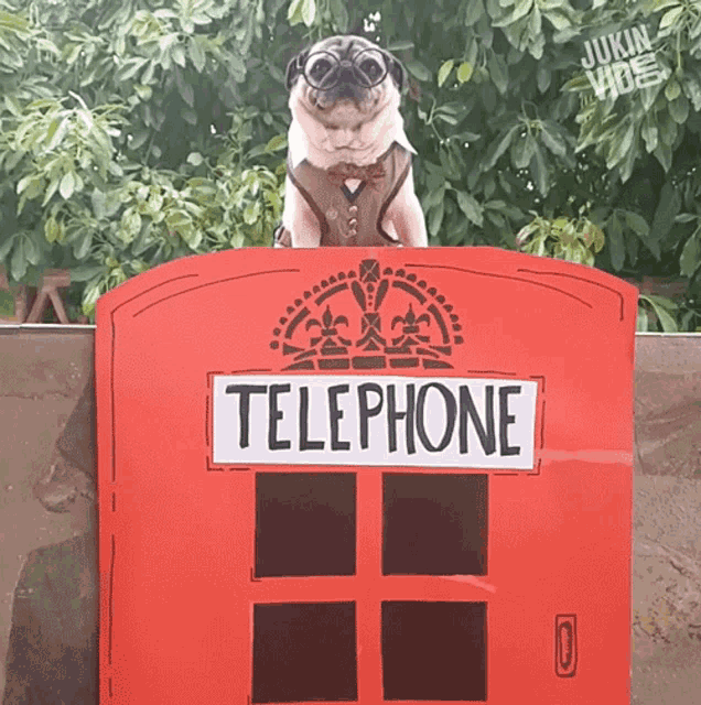 Telephone Telephone Booth GIF