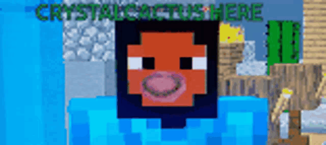 a screenshot of a minecraft game with the name crystals fox here