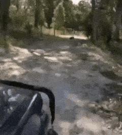 a person is riding a jeep down a dirt road .