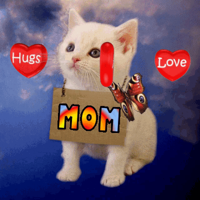 a kitten holds a sign that says mom