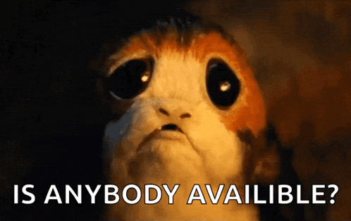 a close up of a small animal with the words `` is anybody available '' written on it .