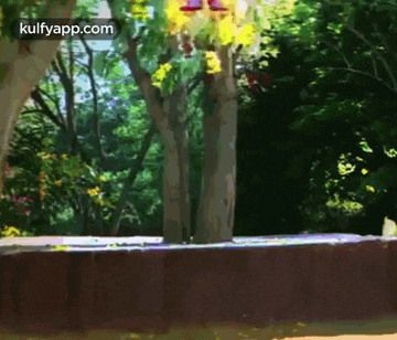 a person is riding a skateboard in a park .