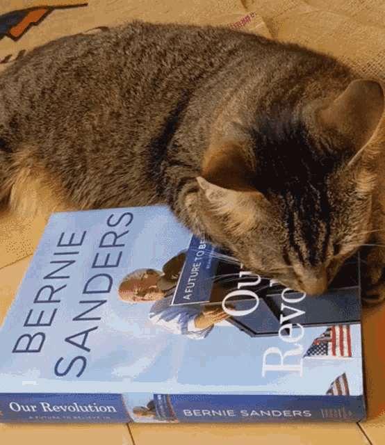 a cat laying on top of a book titled our revolution
