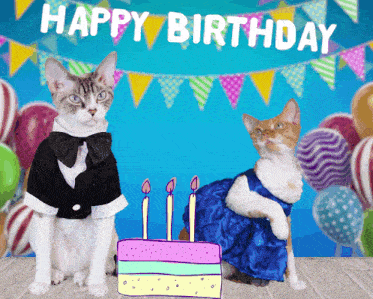 two cats wearing tuxedos and dresses are celebrating their birthdays