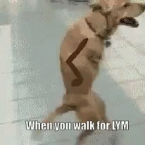 Walk To Earn Lympo GIF - Walk To Earn Lympo Lym Token GIFs