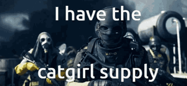 a group of soldiers in gas masks with the words i have the catgirl supply above them