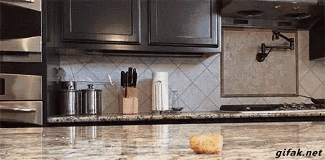 Excited Dinner GIF - Excited Dinner Dog GIFs