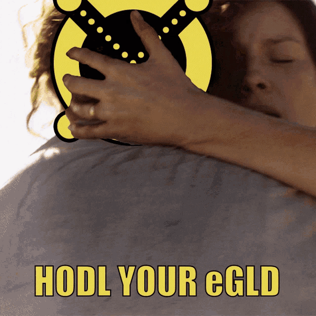 Elrond Erd Egld Crypto Hodl GIF - Elrond Erd Egld Crypto Hodl GIFs