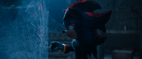 shadow the hedgehog is standing in front of a broken glass