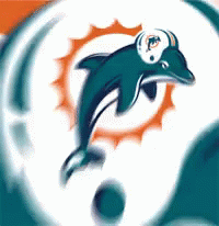 Dolphins Miami Dolphins GIF - Dolphins Miami Dolphins GIFs