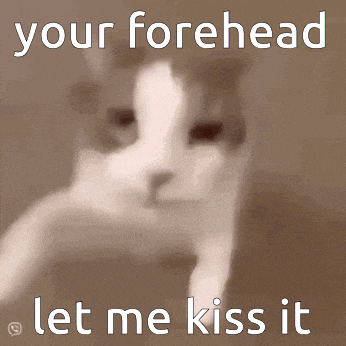 a picture of a cat with the words " your forehead let me kiss it " below it
