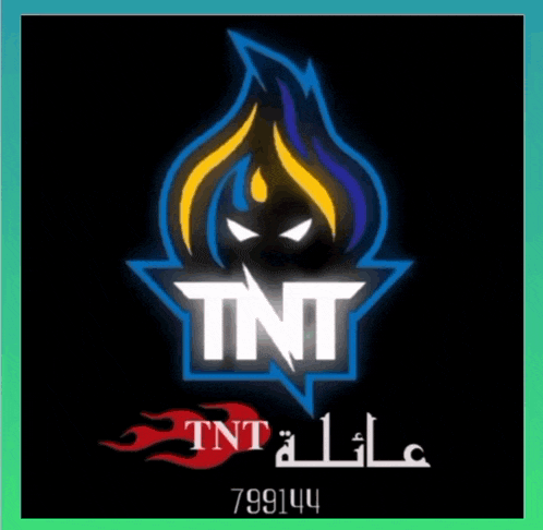 a logo for a company called tnt with flames