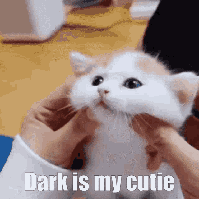 Dark Rark GIF - Dark Rark Retroiscute GIFs