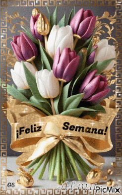 a bouquet of purple and white tulips with a gold ribbon with the words feliz semana on it