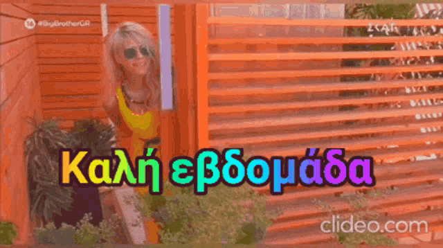 a woman wearing sunglasses is standing in front of an orange fence with the words kali erdomoda written in purple