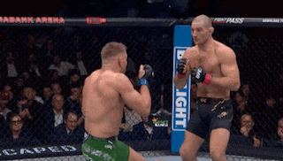 two men are fighting in a cage with a sign that says bud light