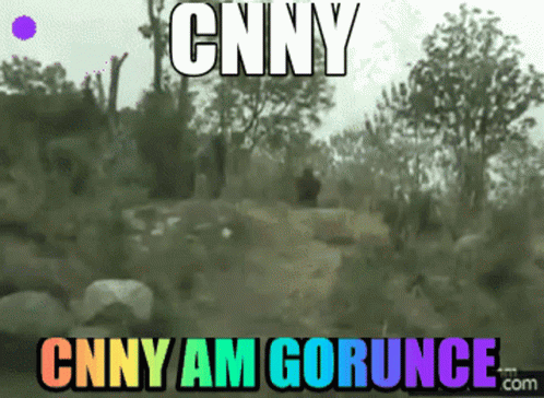 Cnny GIF - Cnny GIFs