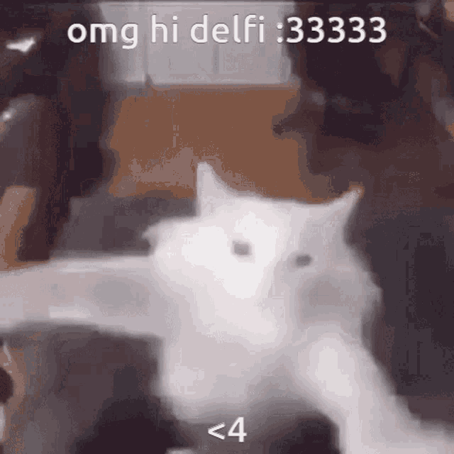 Delfi Omg Hi Delfi GIF - Delfi Omg Hi Delfi Delfino43 GIFs