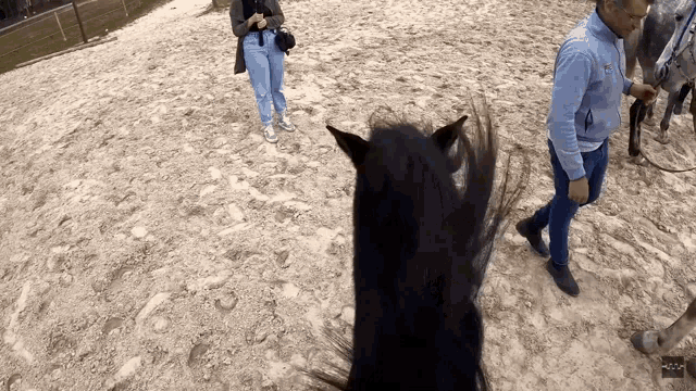 a man standing next to a horse that has the word adidas on his shirt
