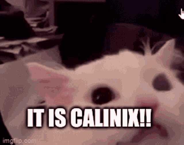 Calinix Linux GIF - Calinix Linux Arch Linux GIFs