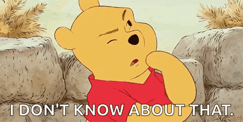 a cartoon of winnie the pooh says " i don t know about that "