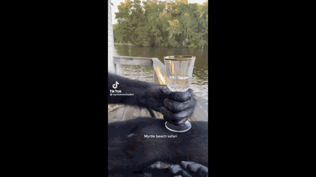 a black bear is drinking water from a bottle on a boat