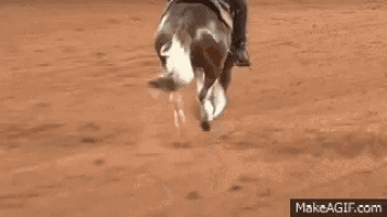 a man is riding a horse on a dirt track .