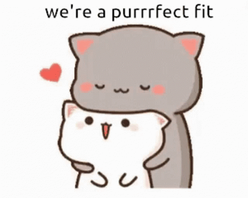 Were A Purrrfect Fit Love GIF - Were A Purrrfect Fit Love Couple GIFs